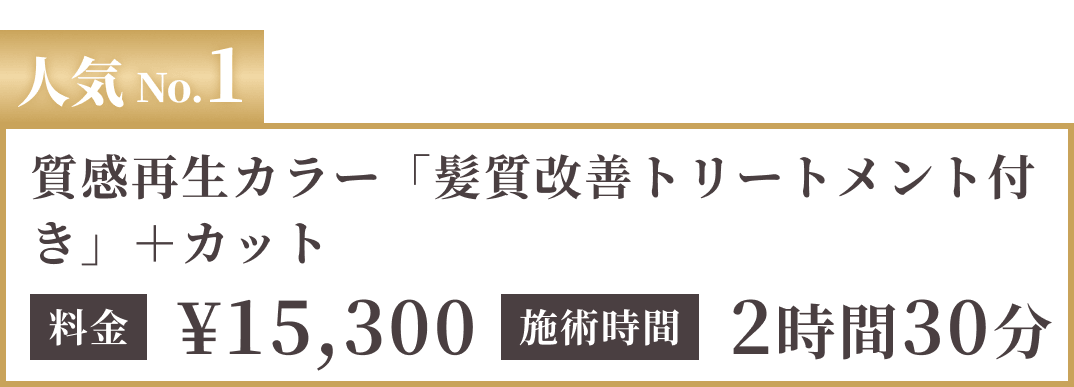 人気No.1 質感再生カラー「髪質改善トリートメント付き」＋カット（施術時間目安2時間30分）15,300円