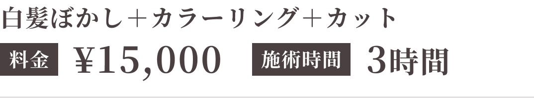 白髪ぼかし＋カラーリング＋カット（施術時間目安3時間）15,000円