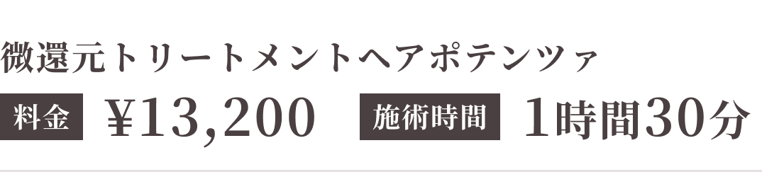 微還元トリートメントヘアポテンツァ（施術時間目安1時間30分）13,200円