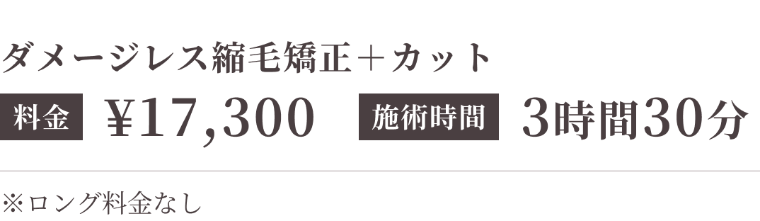 ダメージレス縮毛矯正＋カット（施術時間目安3時間30分）17,300円 ※ロング料金なし